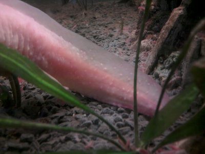 2013-08-01 09.35.10.jpg
