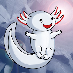 facebookaxilogo másolata.jpg