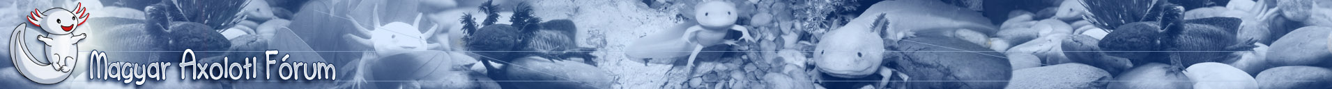 fejléc kék új logós.jpg