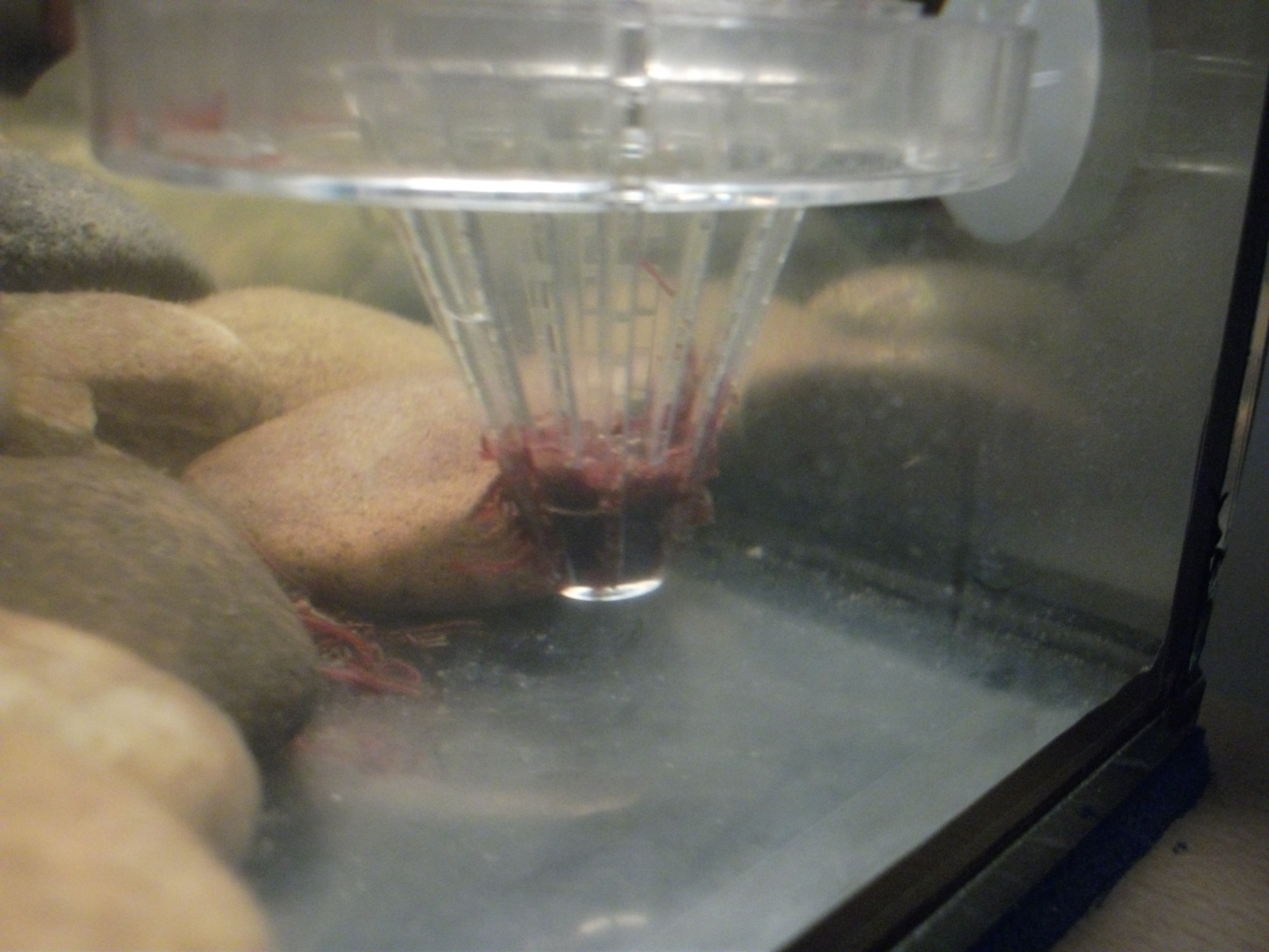DSCF4576.JPG