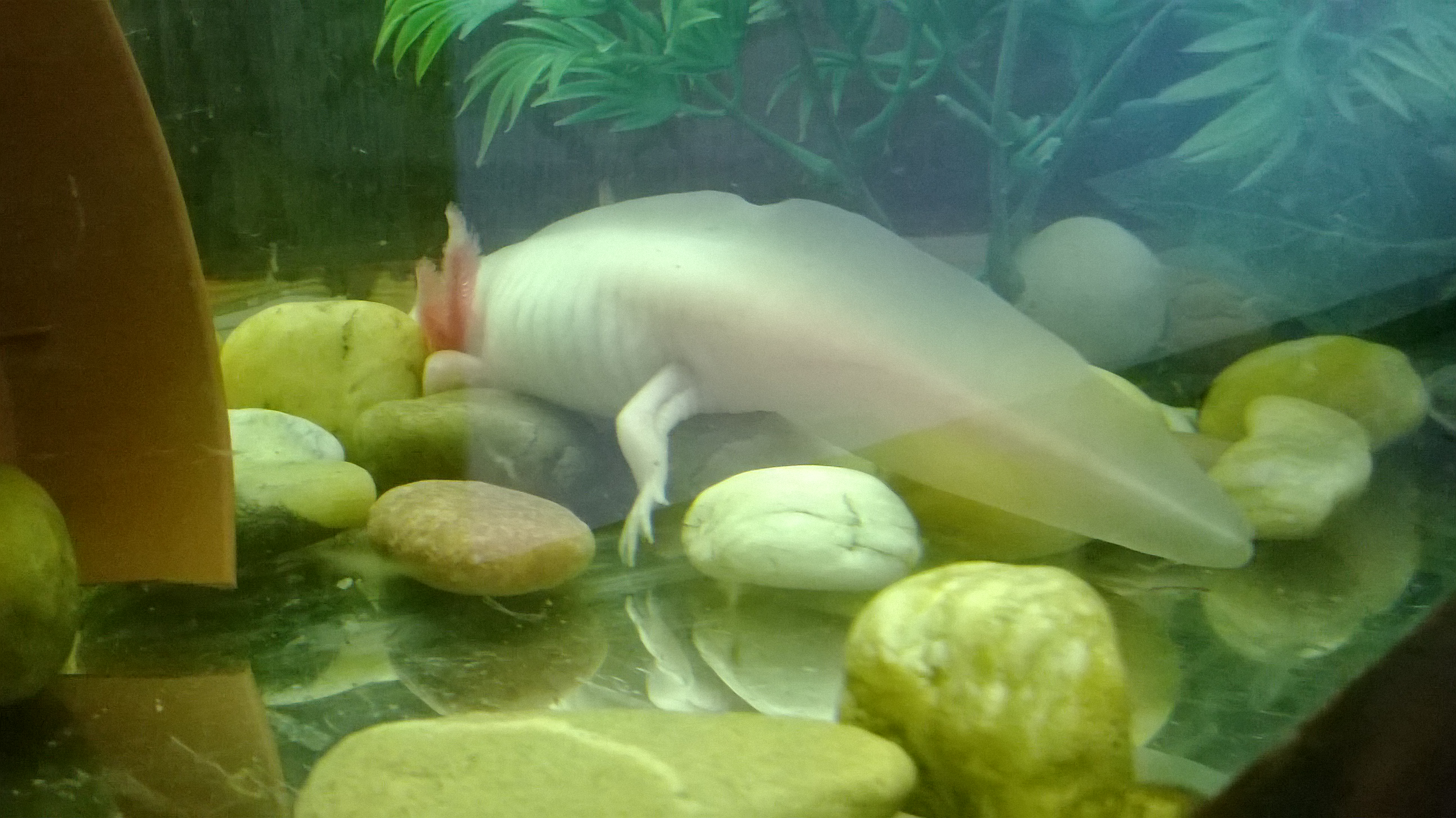 WP_20131011_006.jpg