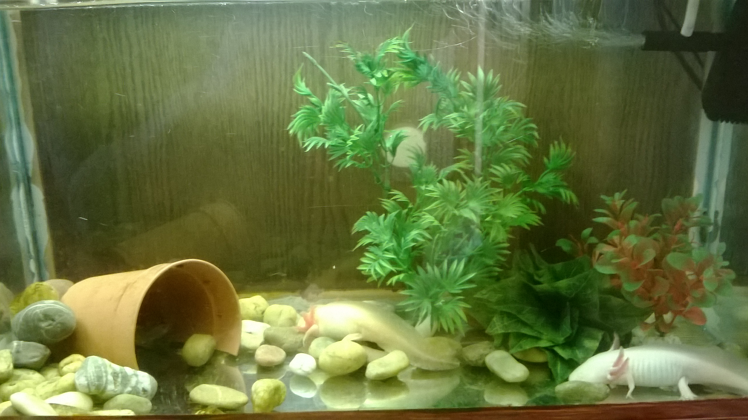 WP_20131011_009.jpg