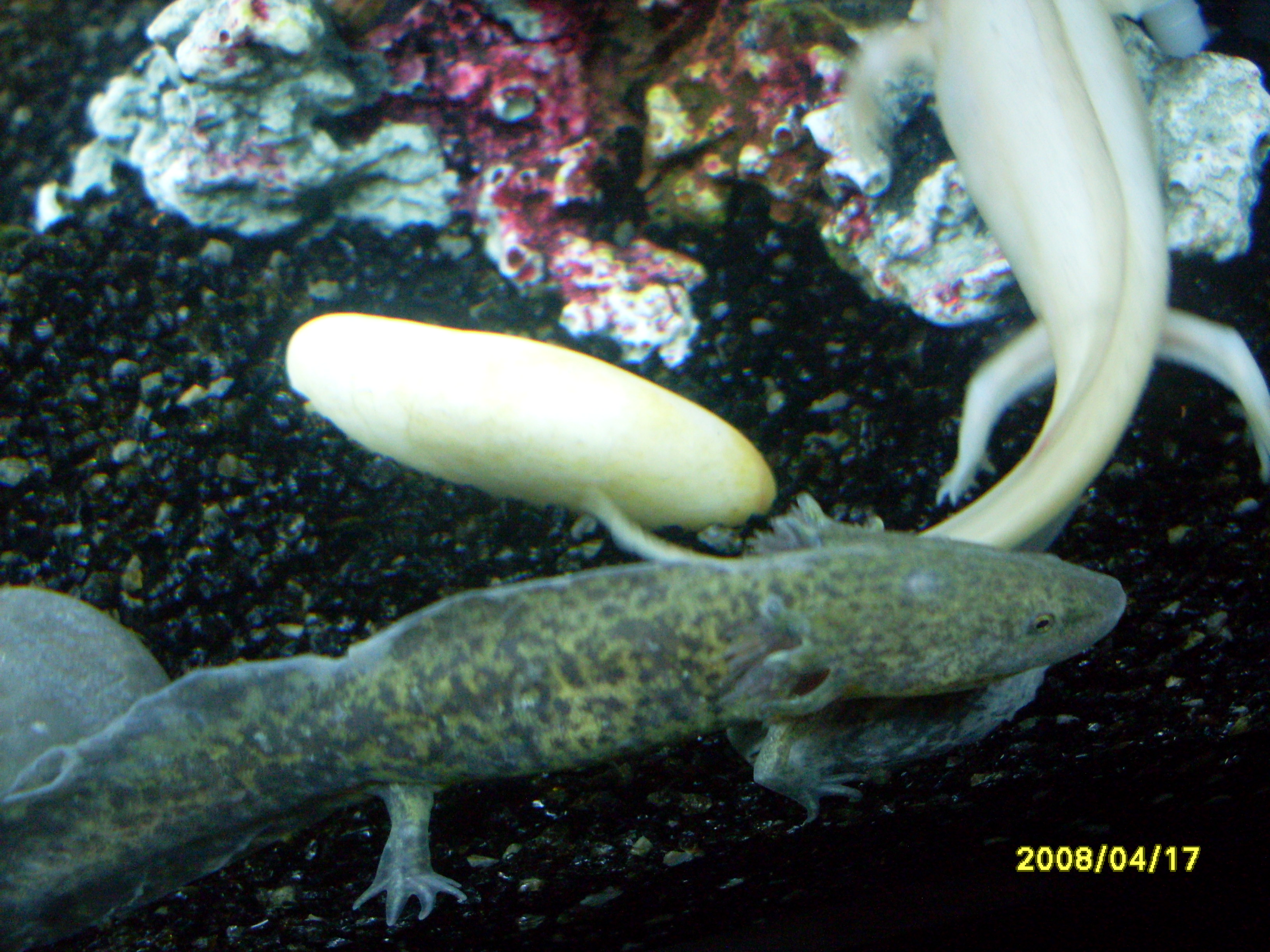 SDC13191.JPG