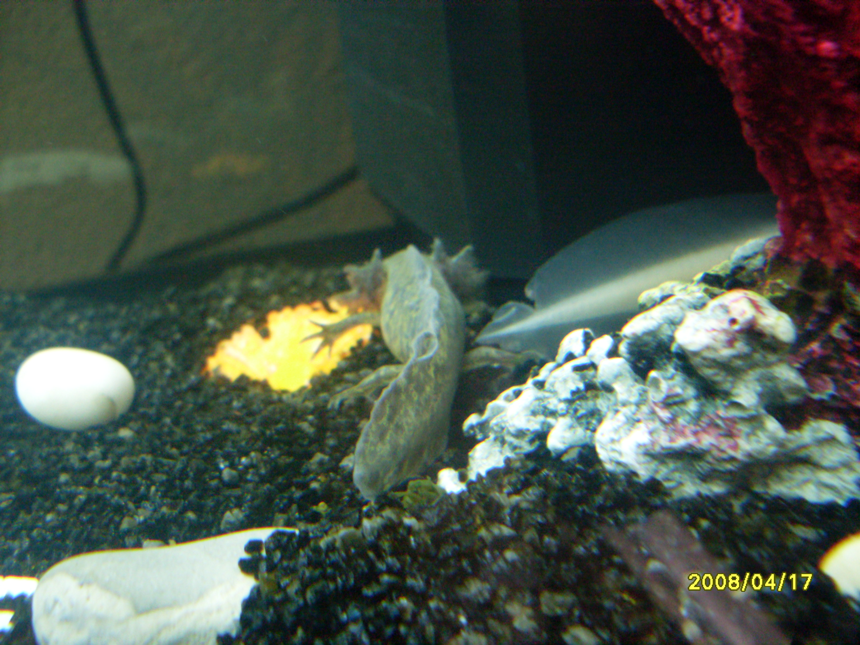 SDC13197.JPG
