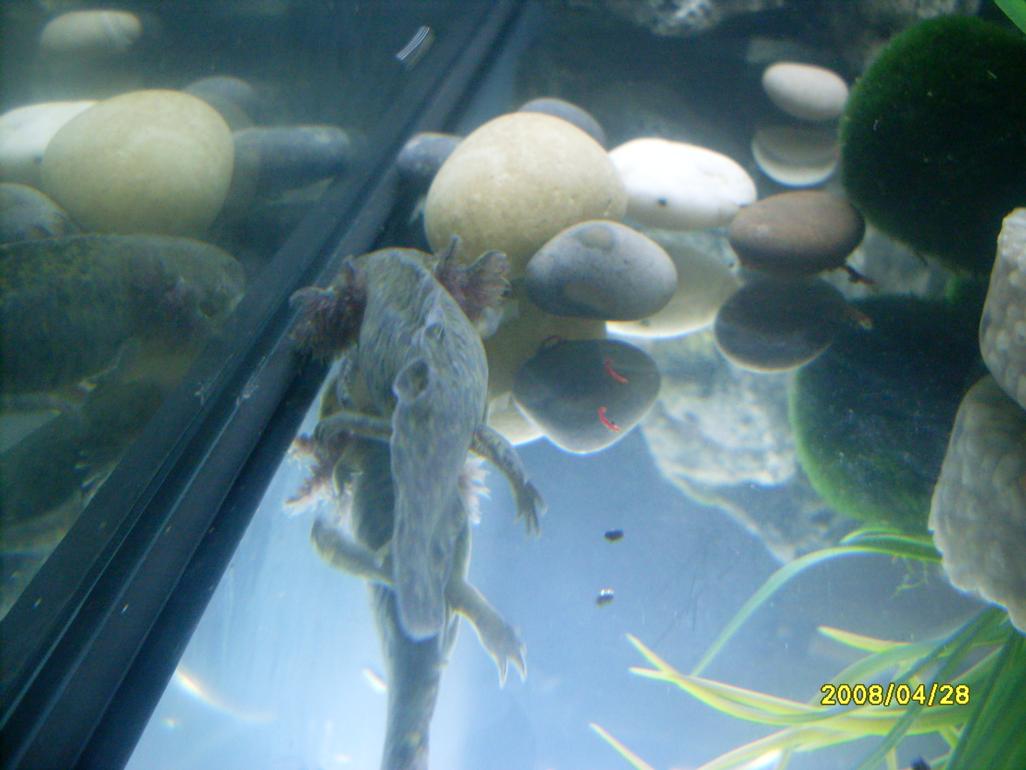 SDC13218.JPG