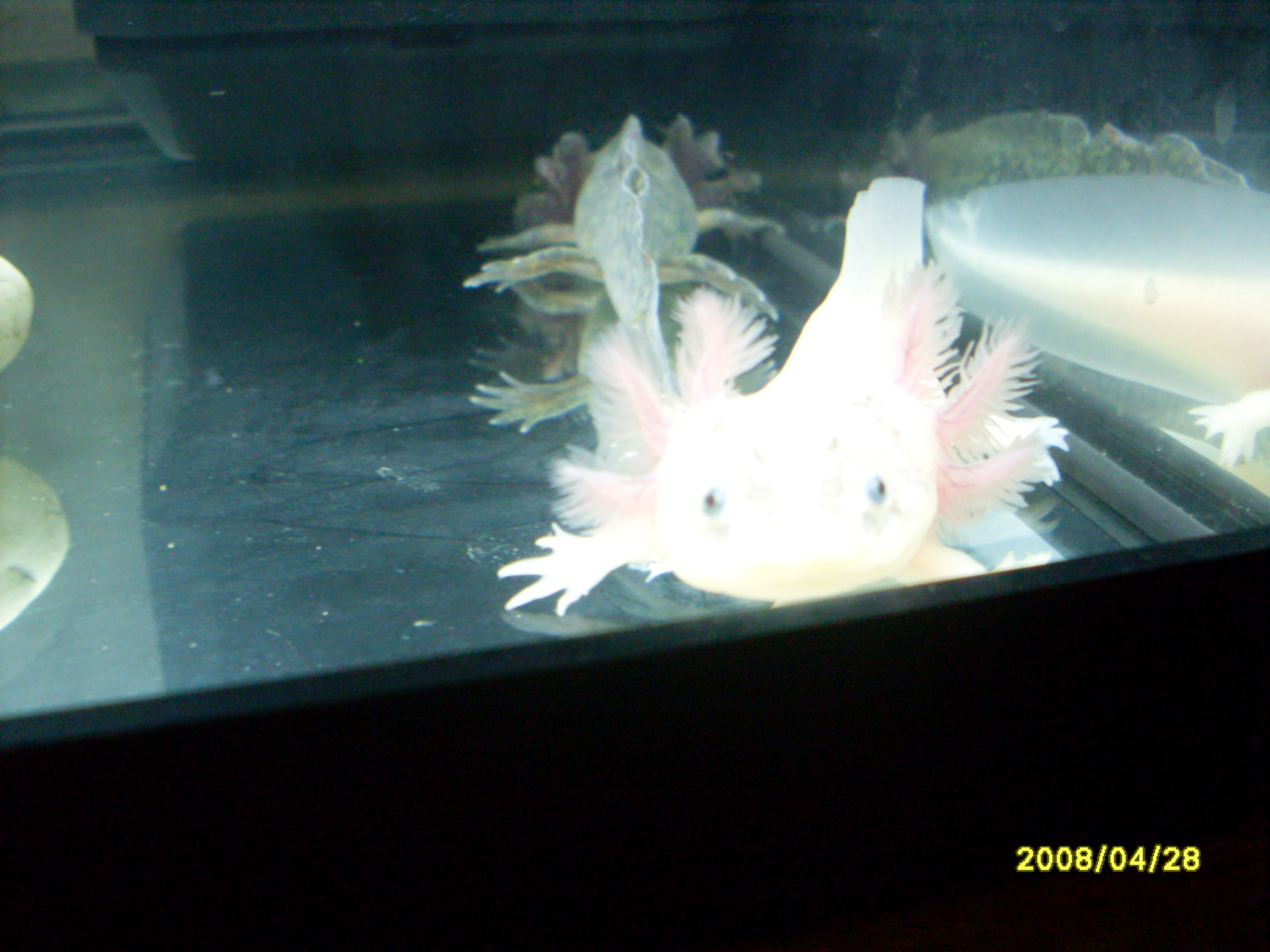 SDC13222.JPG