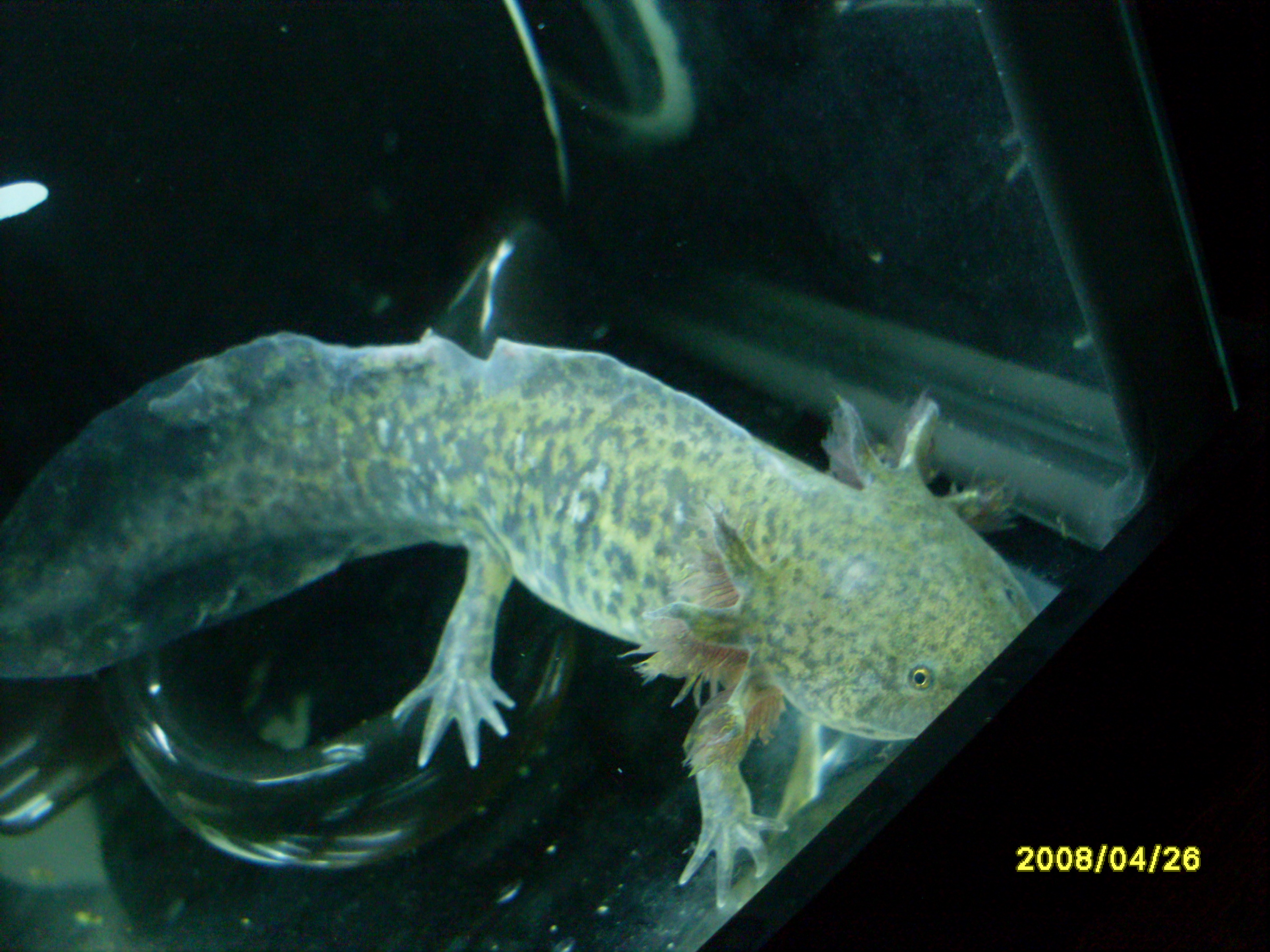 SDC13214.JPG