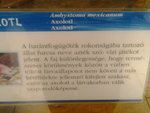 Fotó0165.jpg