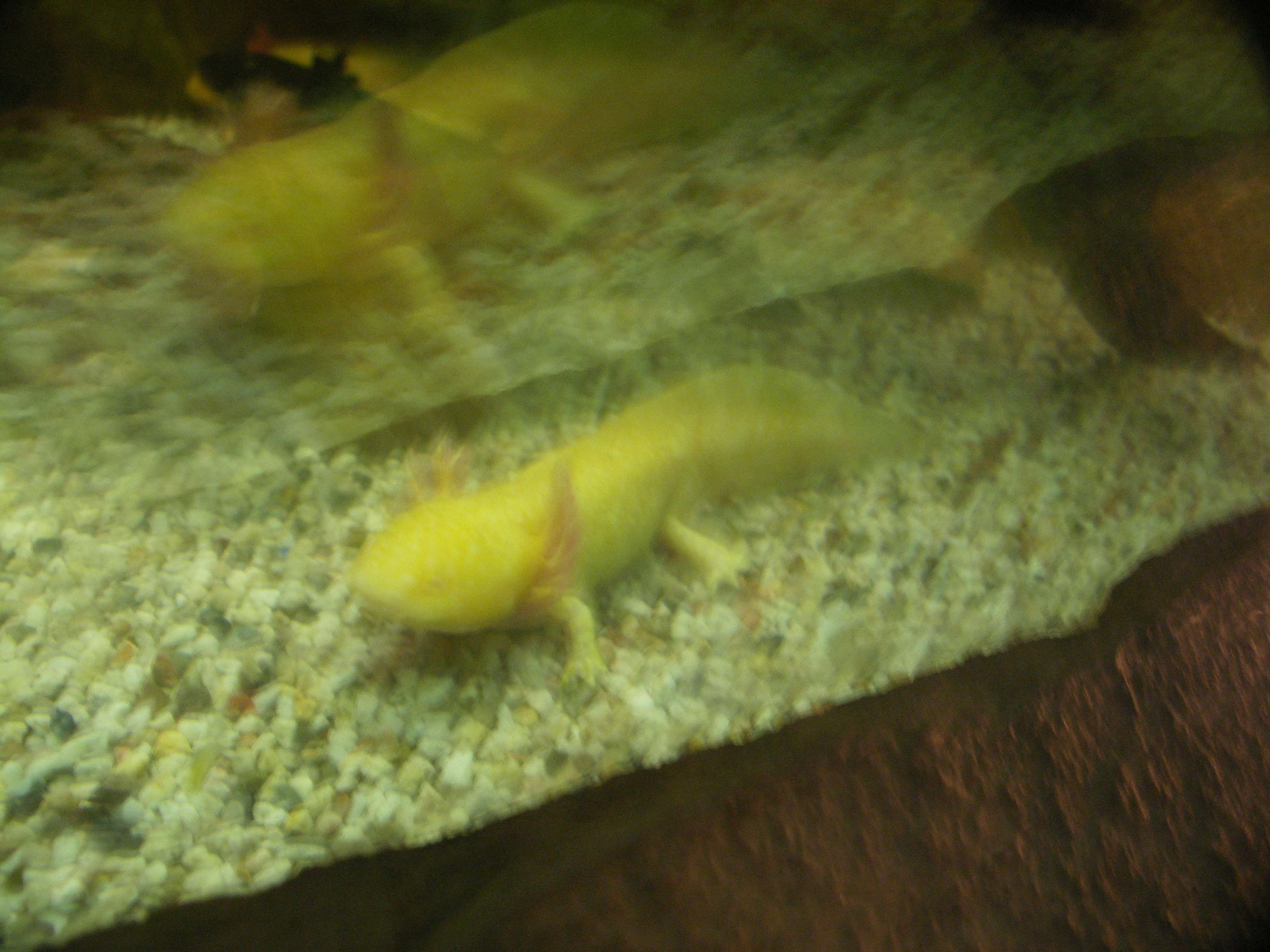 PICT0232.JPG