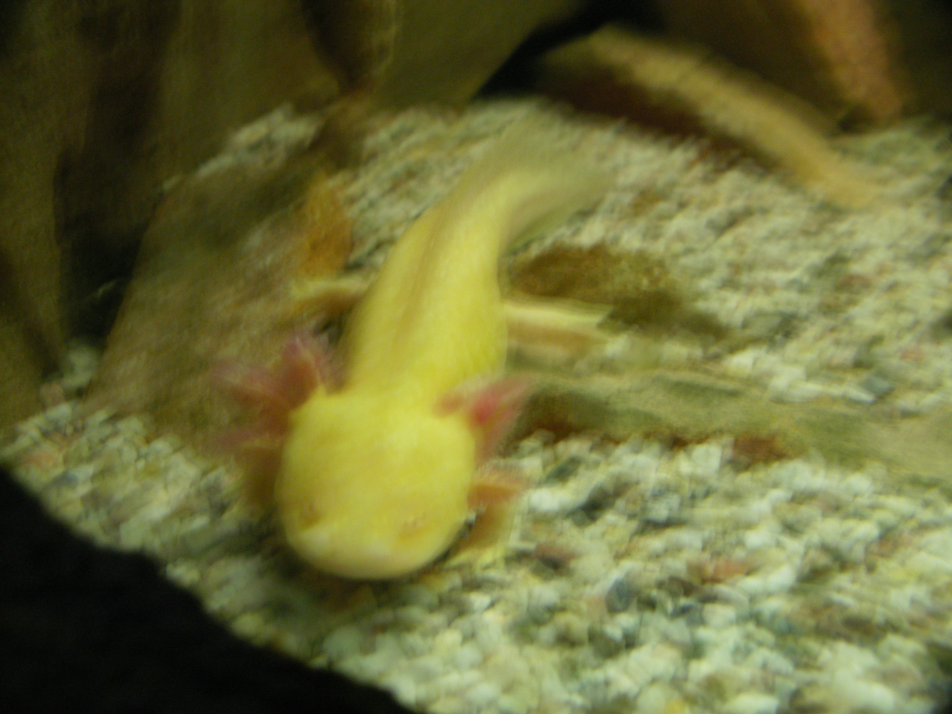 PICT0233.JPG