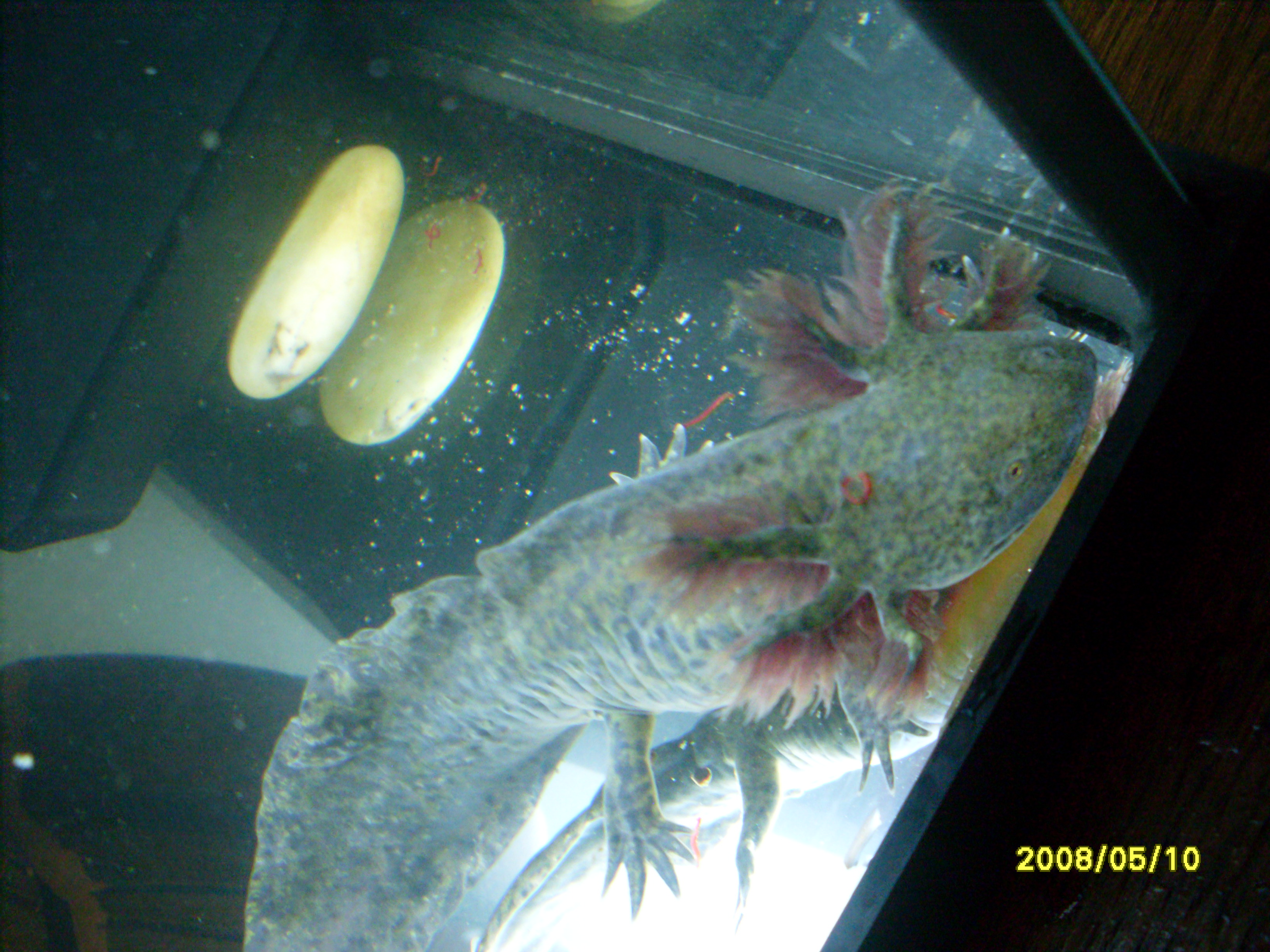 SDC13244.JPG