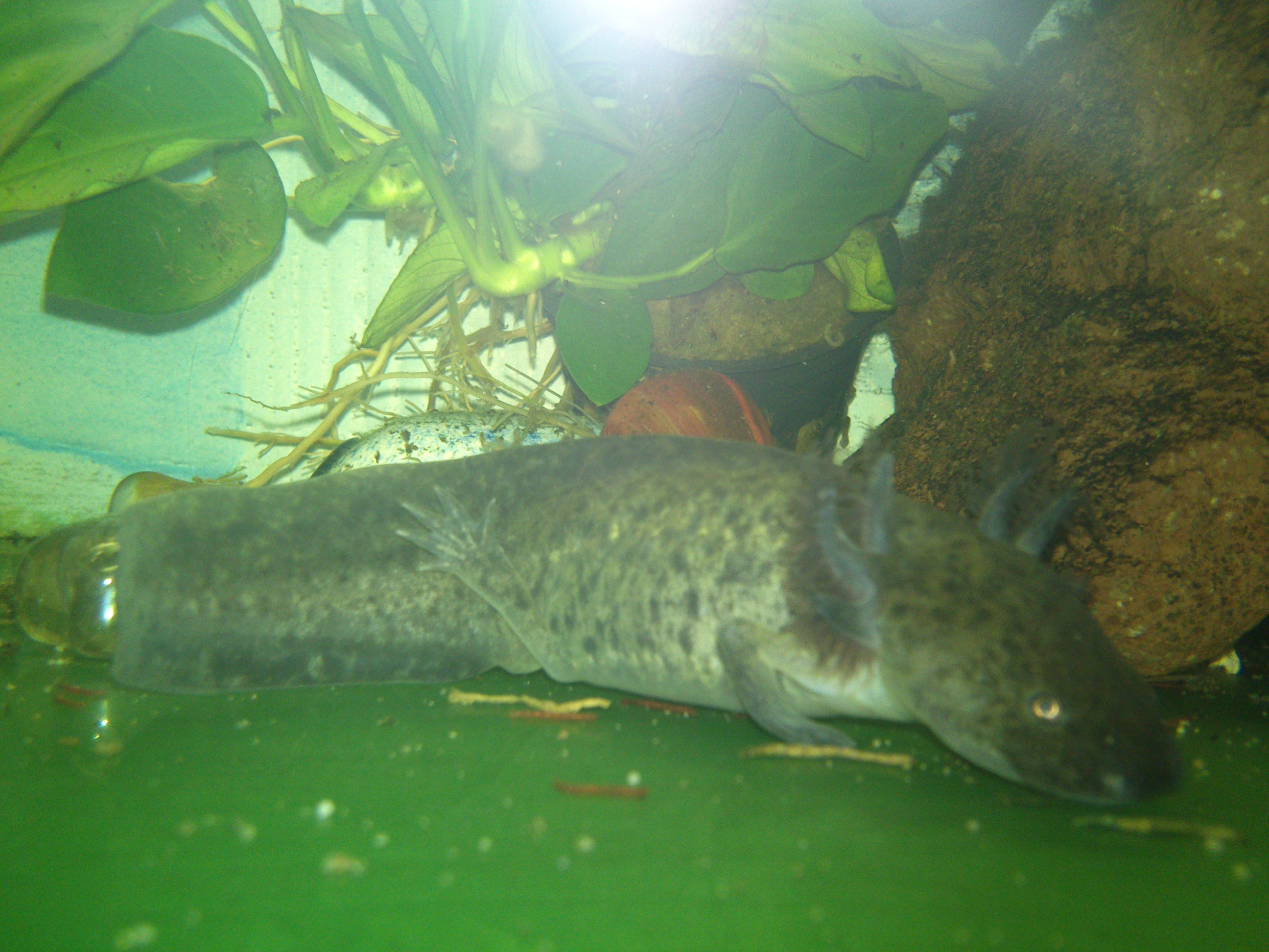 DSC_0340.jpg