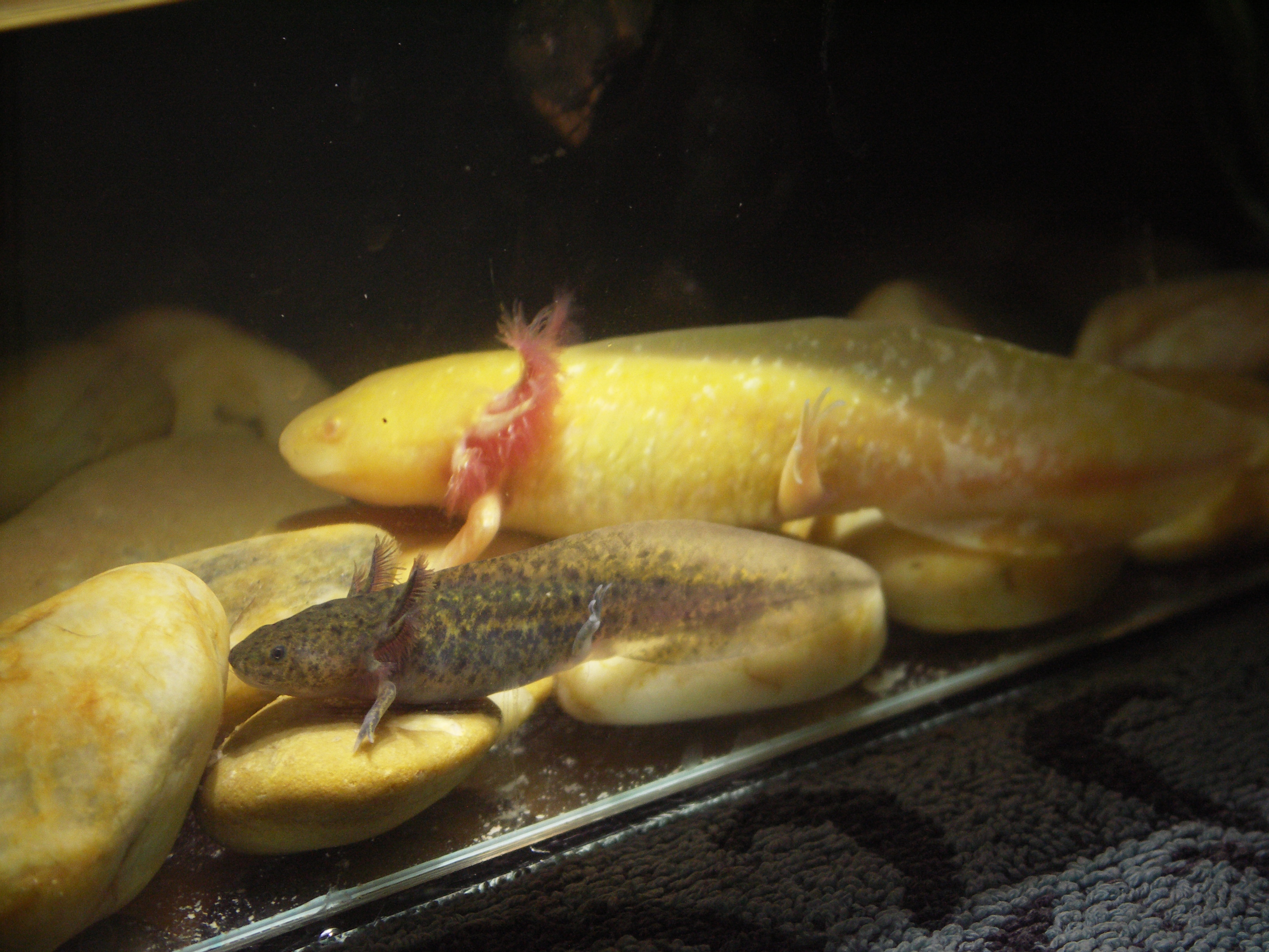 PICT0120.JPG