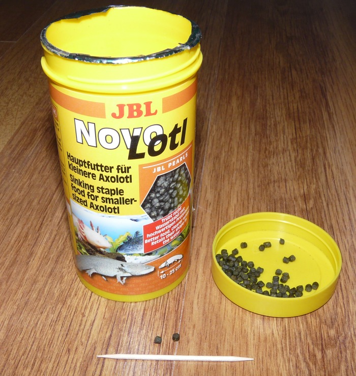 Novolotl.jpg