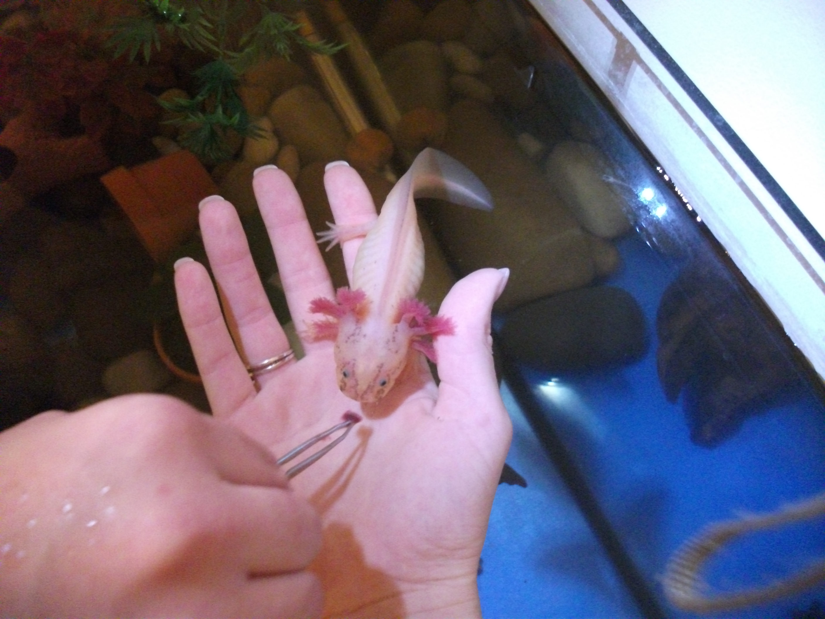 DSCF5076.JPG