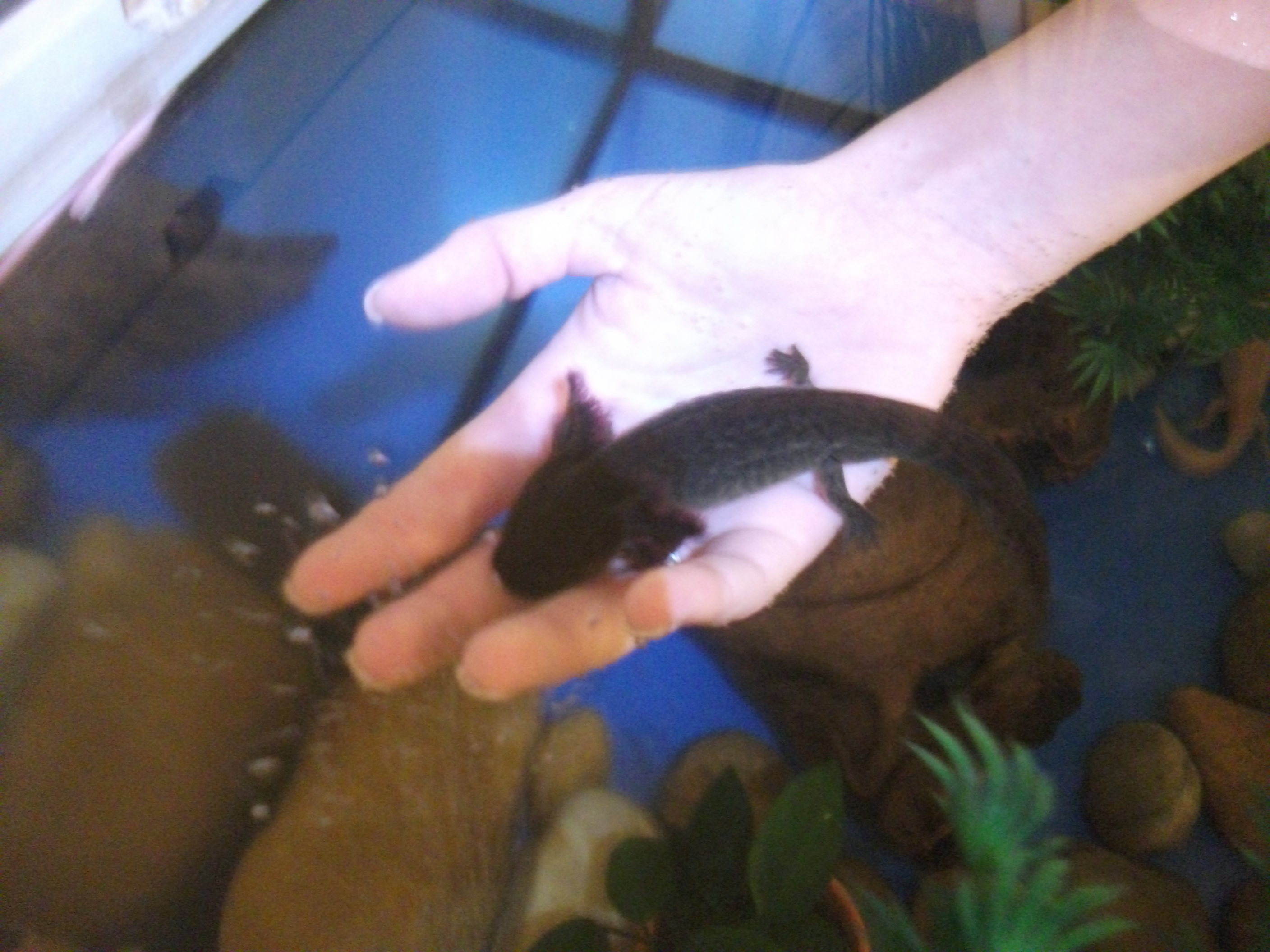 DSCF5074.JPG