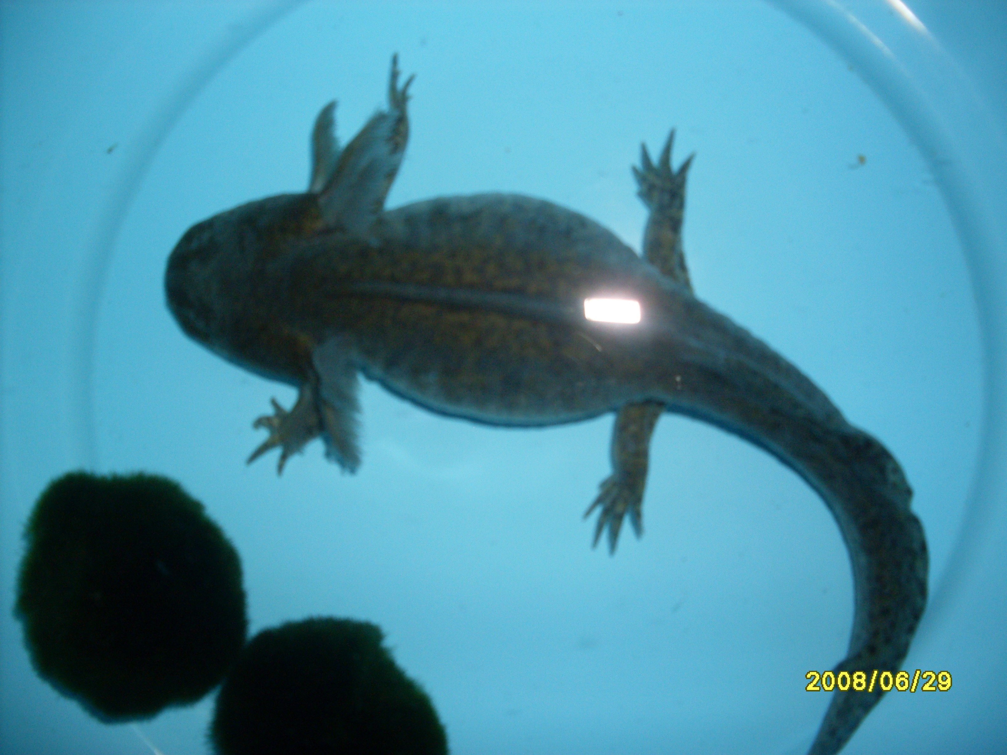 SDC13257.JPG