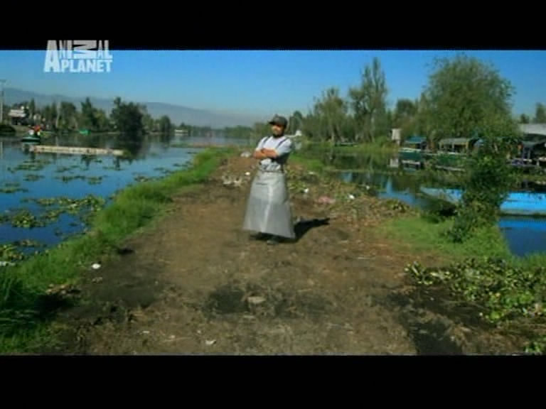 Xochimilco-tó