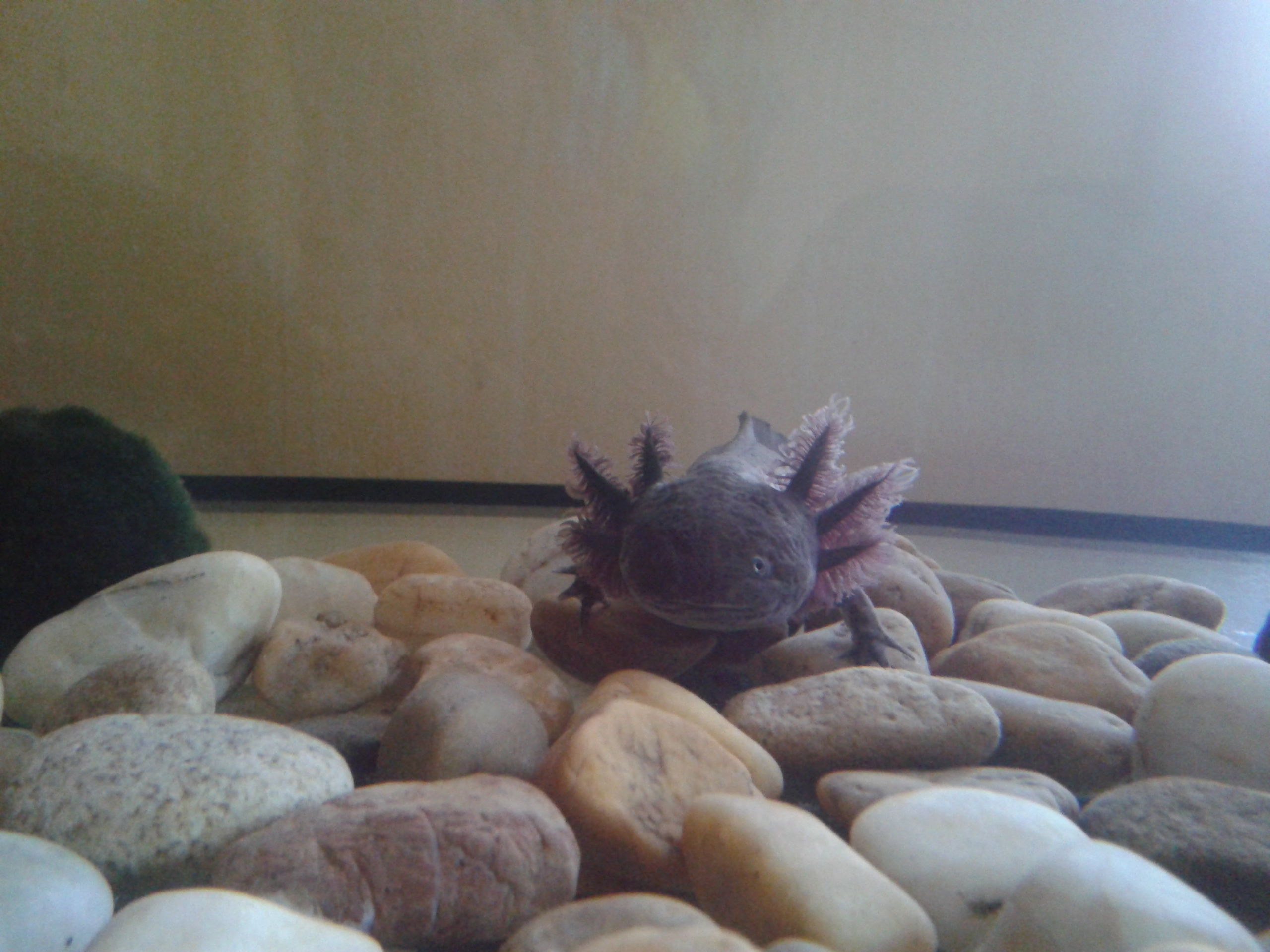 20140224_091830.jpg