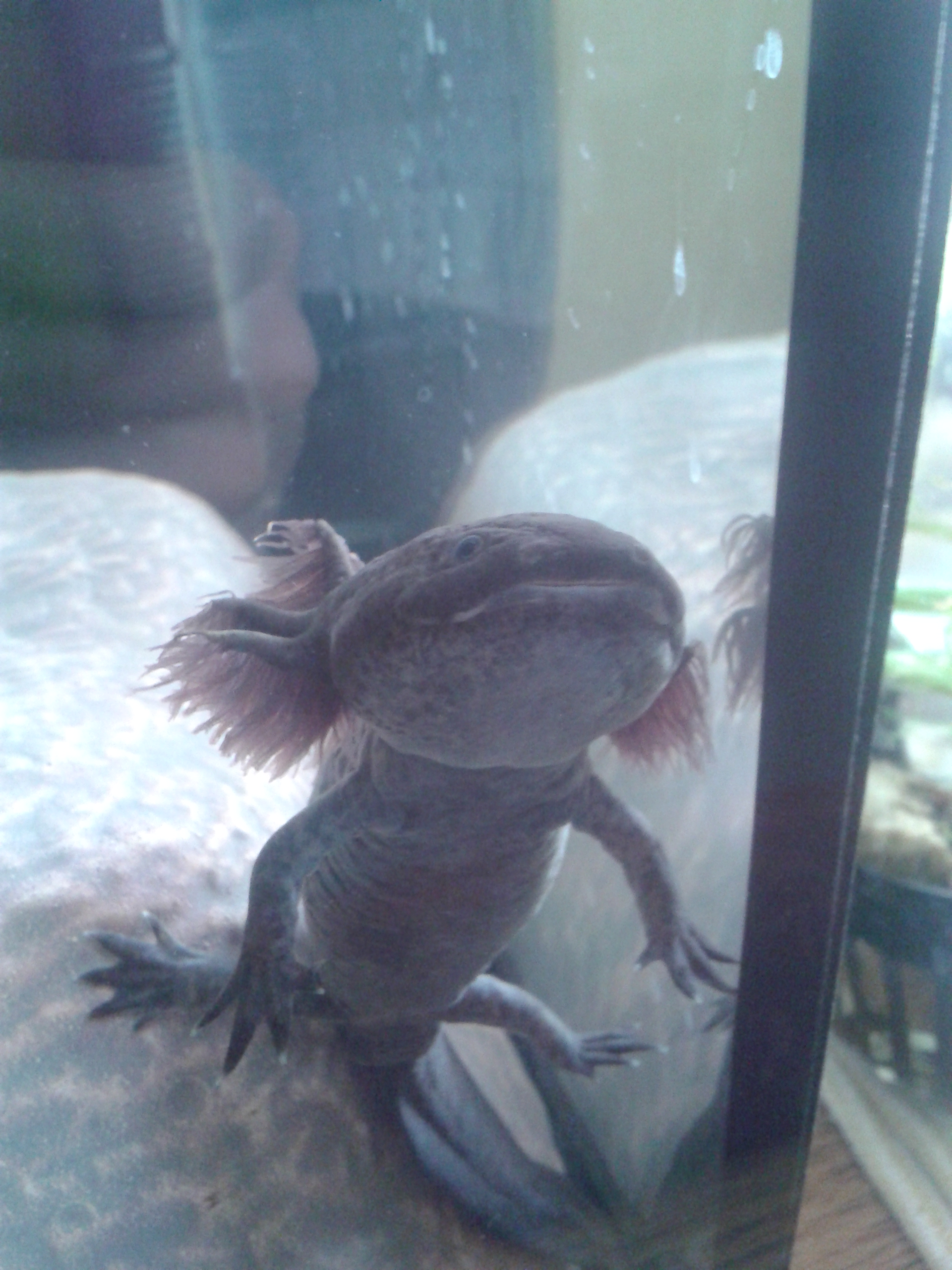 20140224_103603.jpg