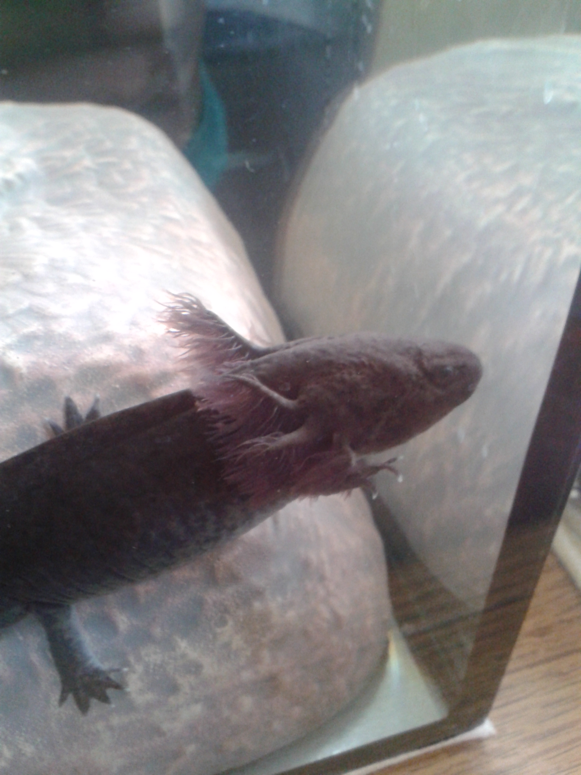 20140224_103728.jpg