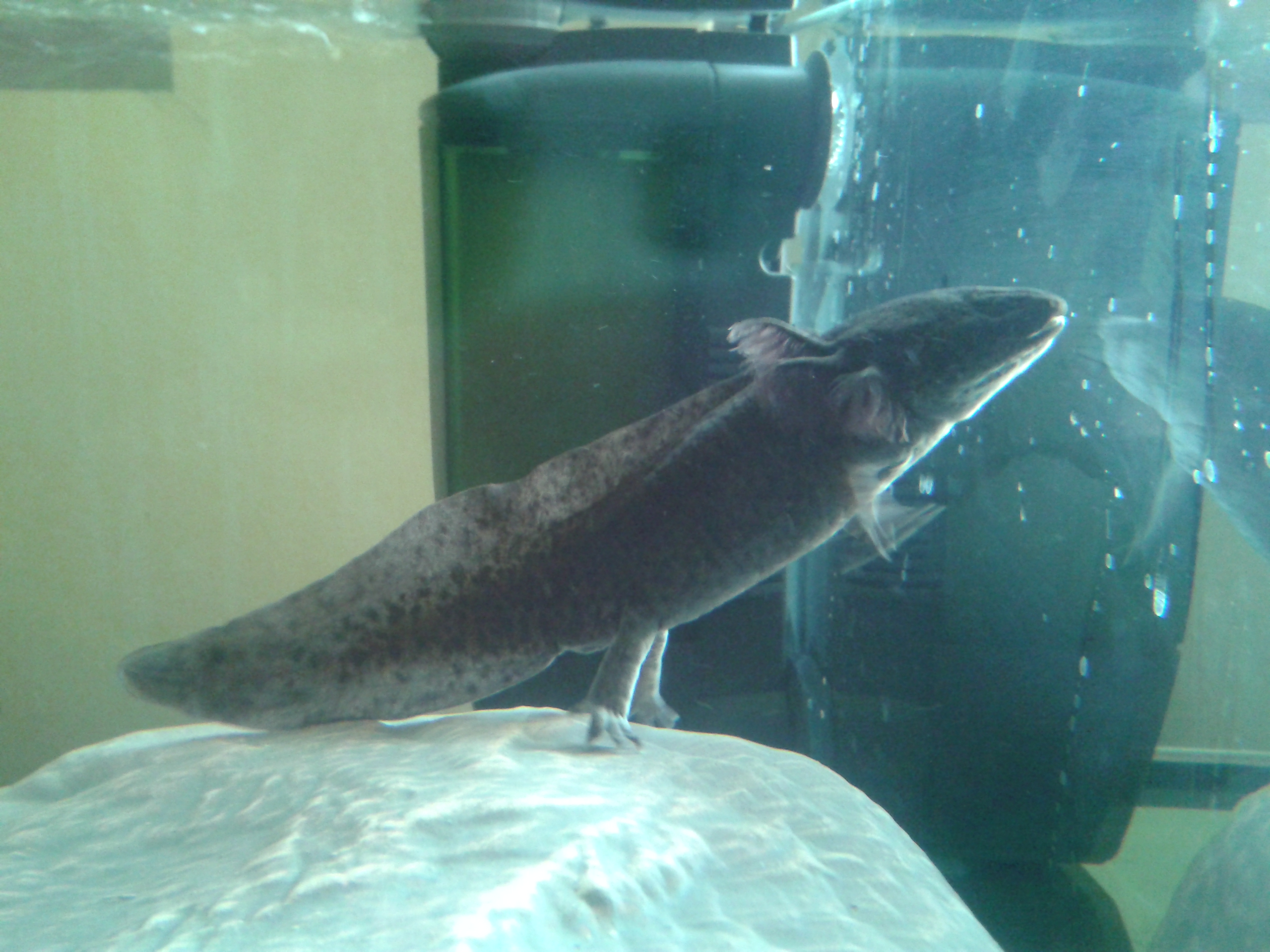 20140224_104353.jpg
