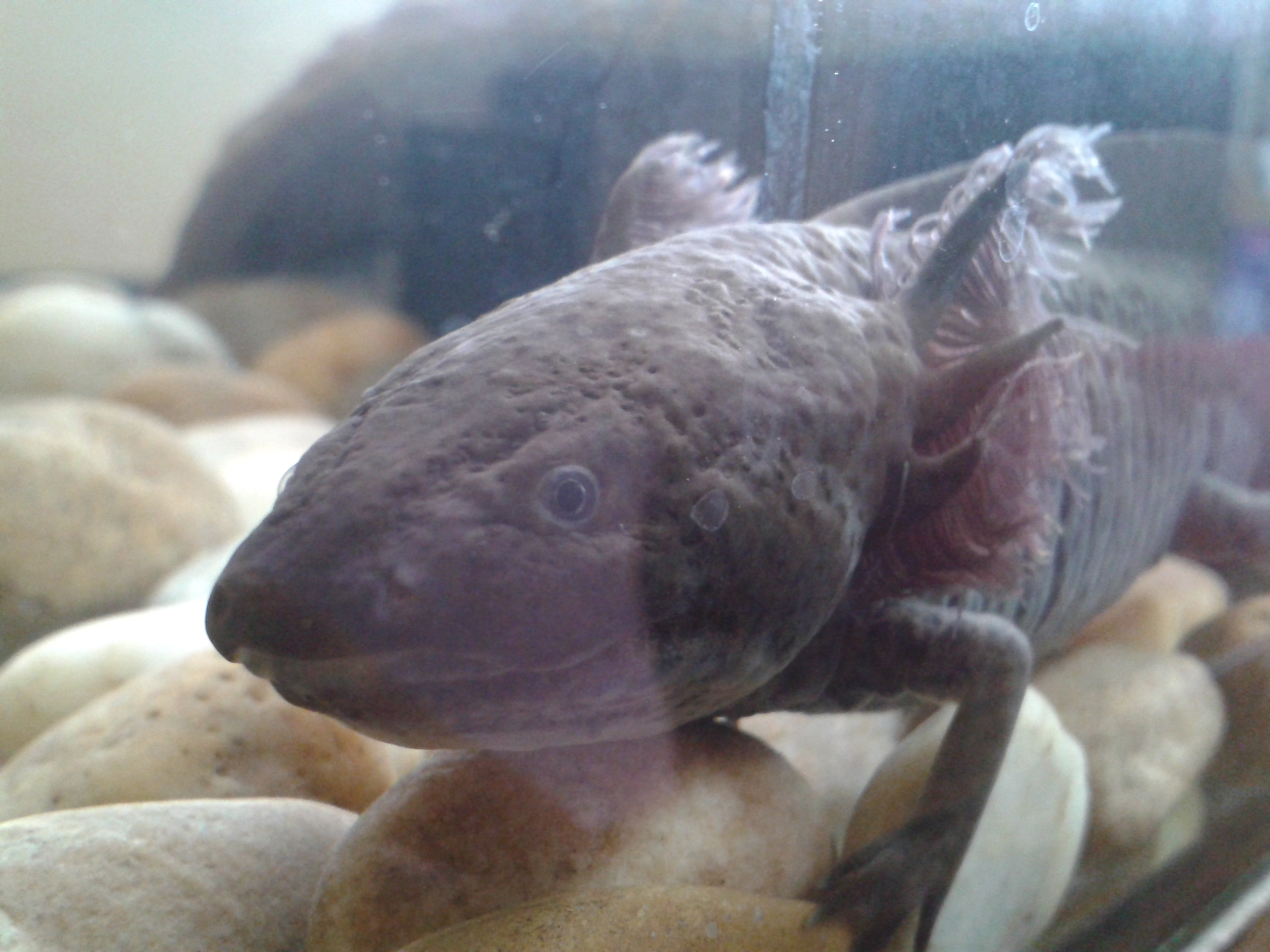 20140224_115251.jpg