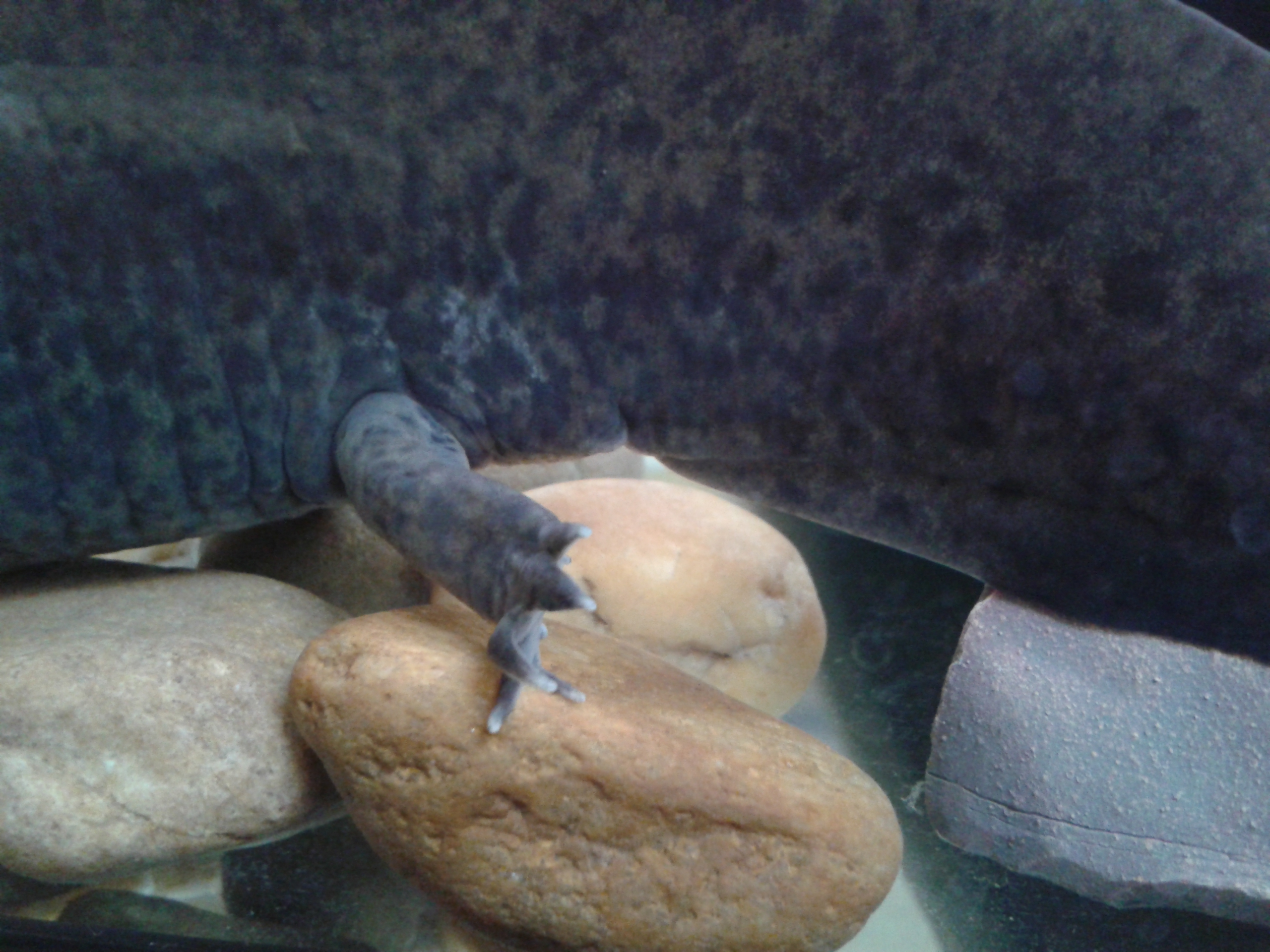20140224_115321.jpg
