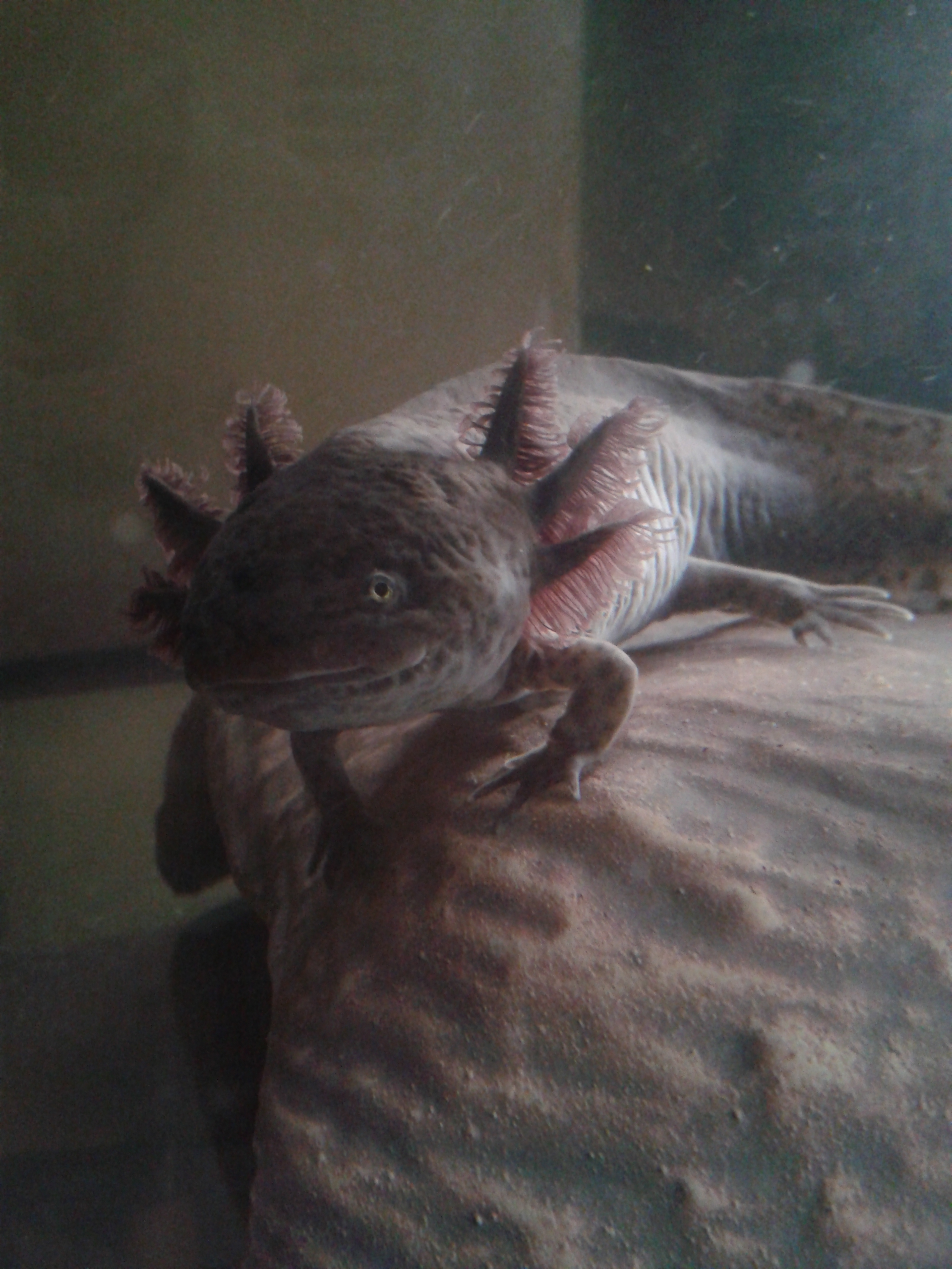 20140304_170808.jpg
