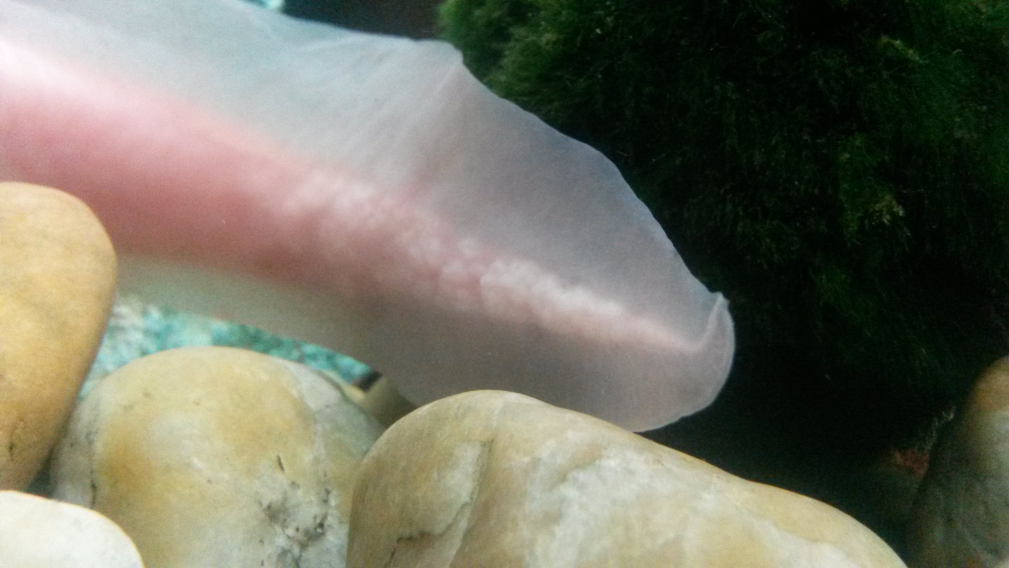 20140403_234926.jpg