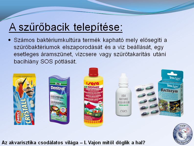 bacitelepítés.jpg