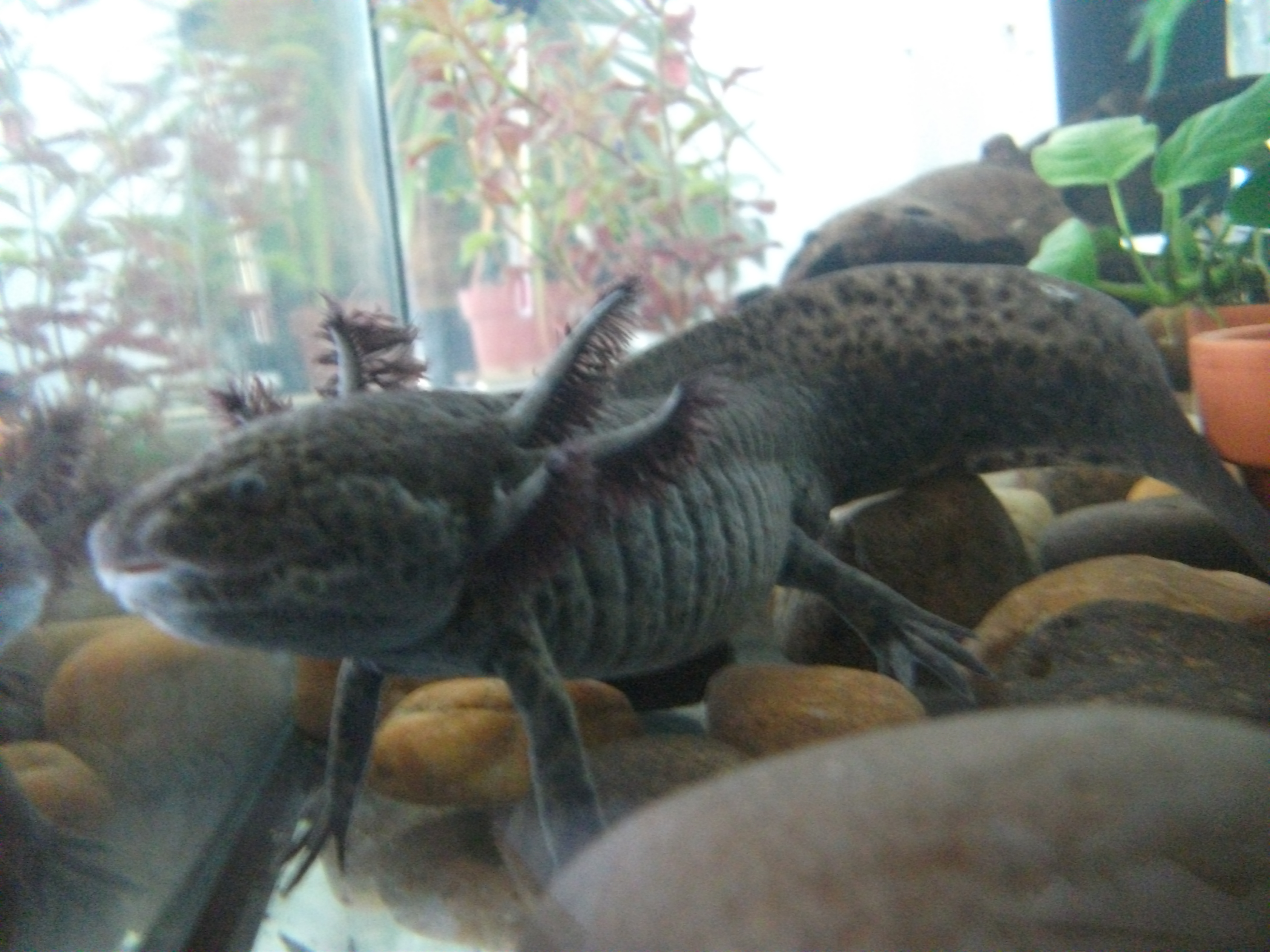 DSCF5254.JPG