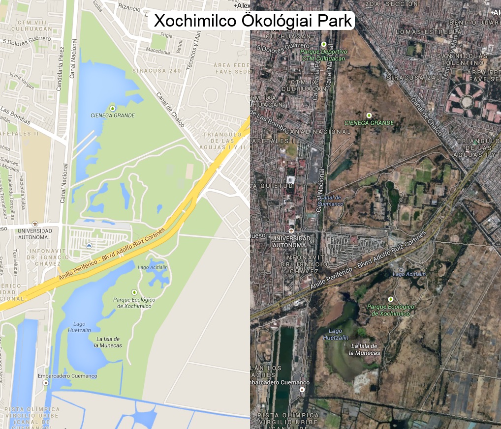 Xochi park.jpg