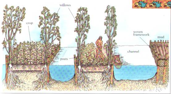 http://midwestpermaculture.com/ tulajdona a kép!