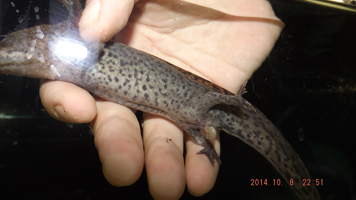 DSCF2093.jpg