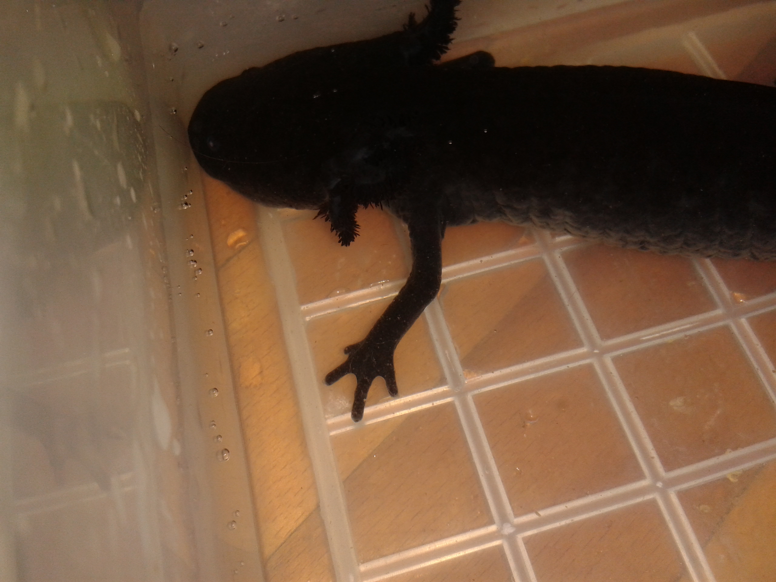 20150202_111836.jpg