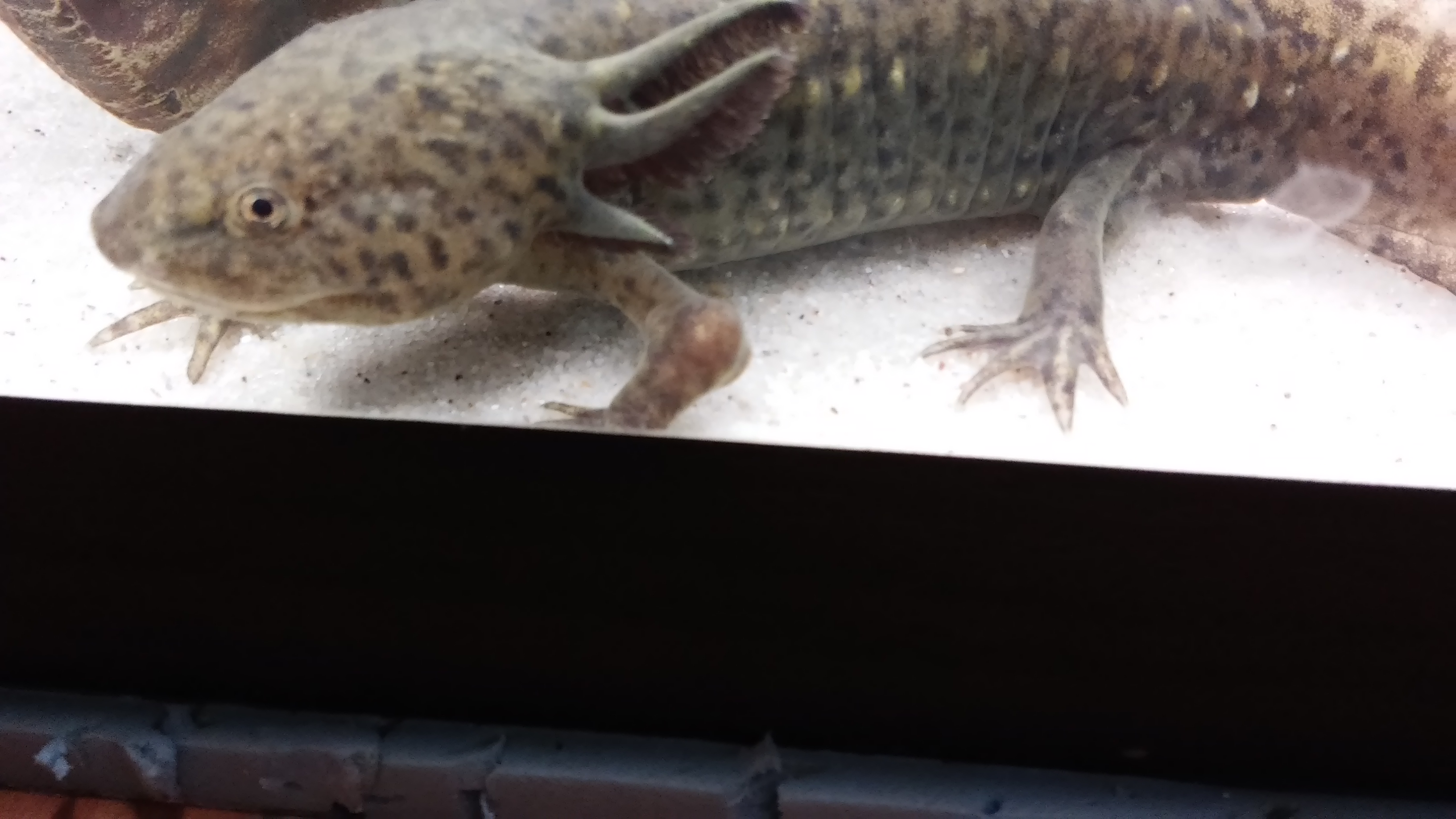 20150903_210124.jpg