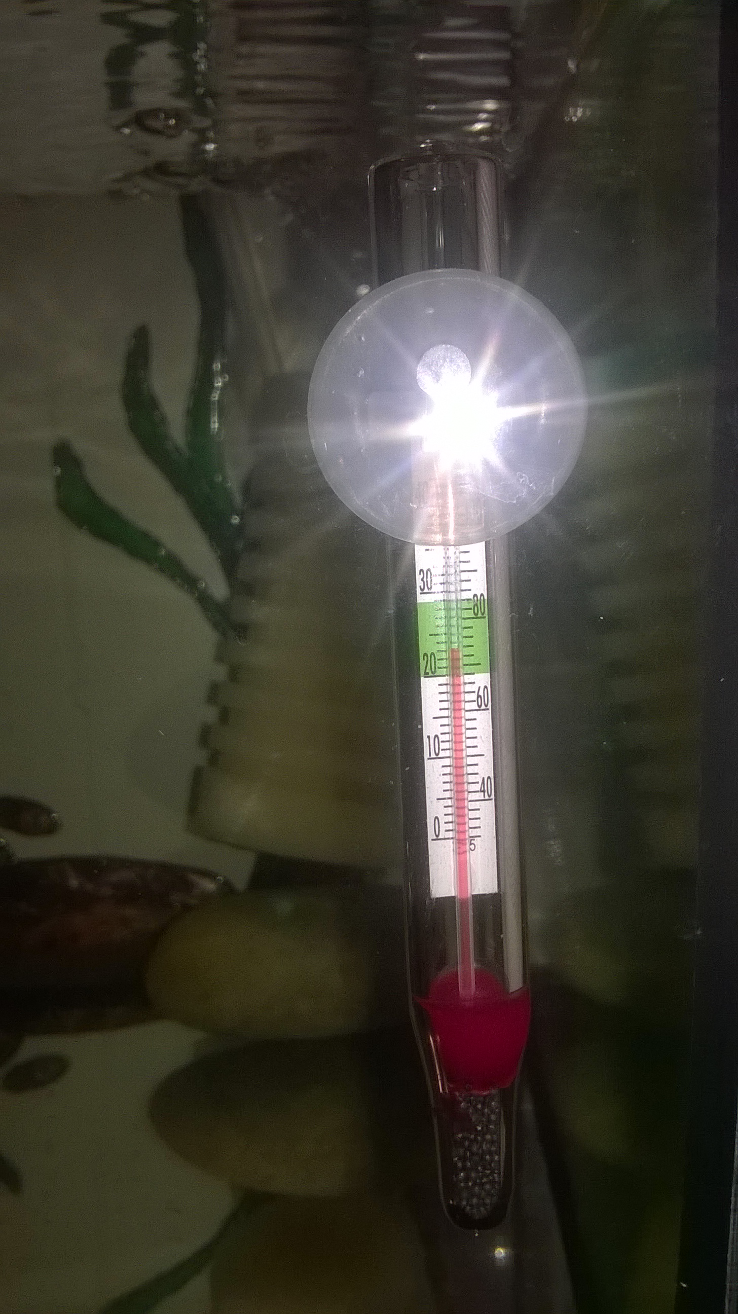 WP_20160530_20_58_10_Pro.jpg
