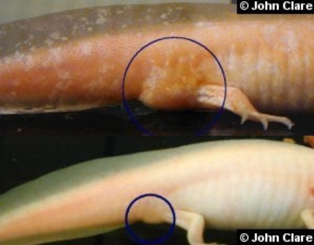 8327004_orig.jpg