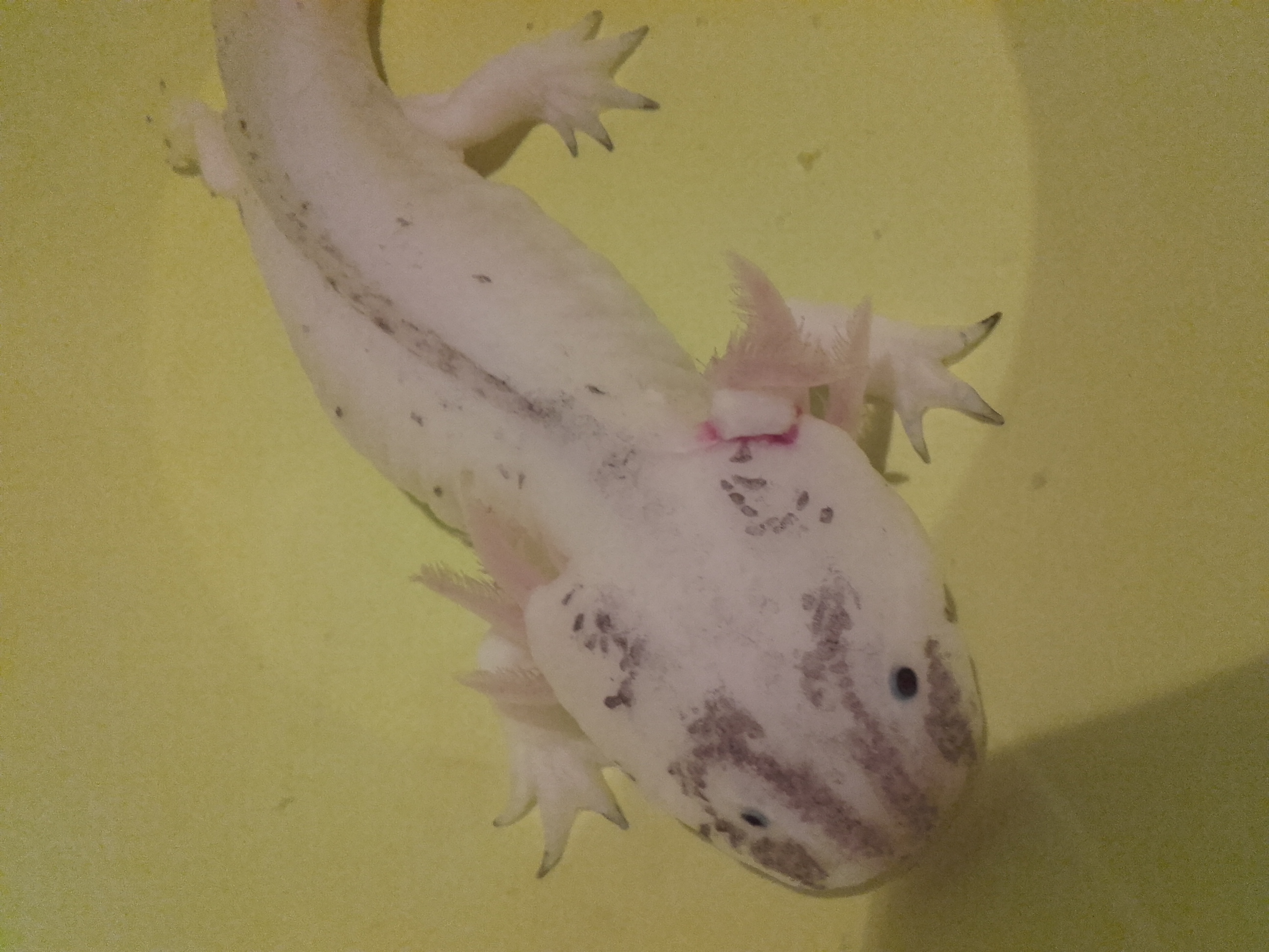 20161011_153042.jpg