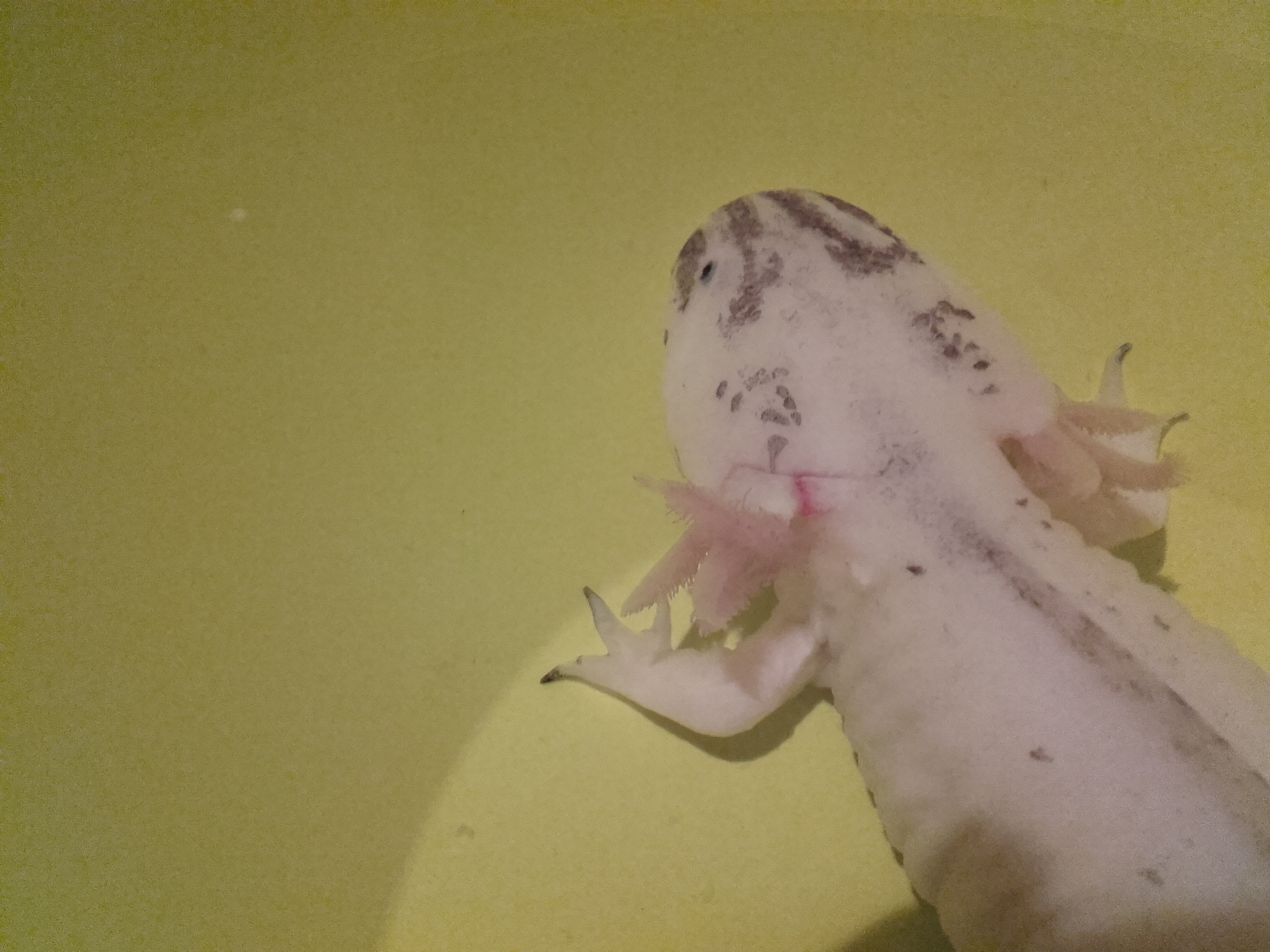 20161011_153114.jpg
