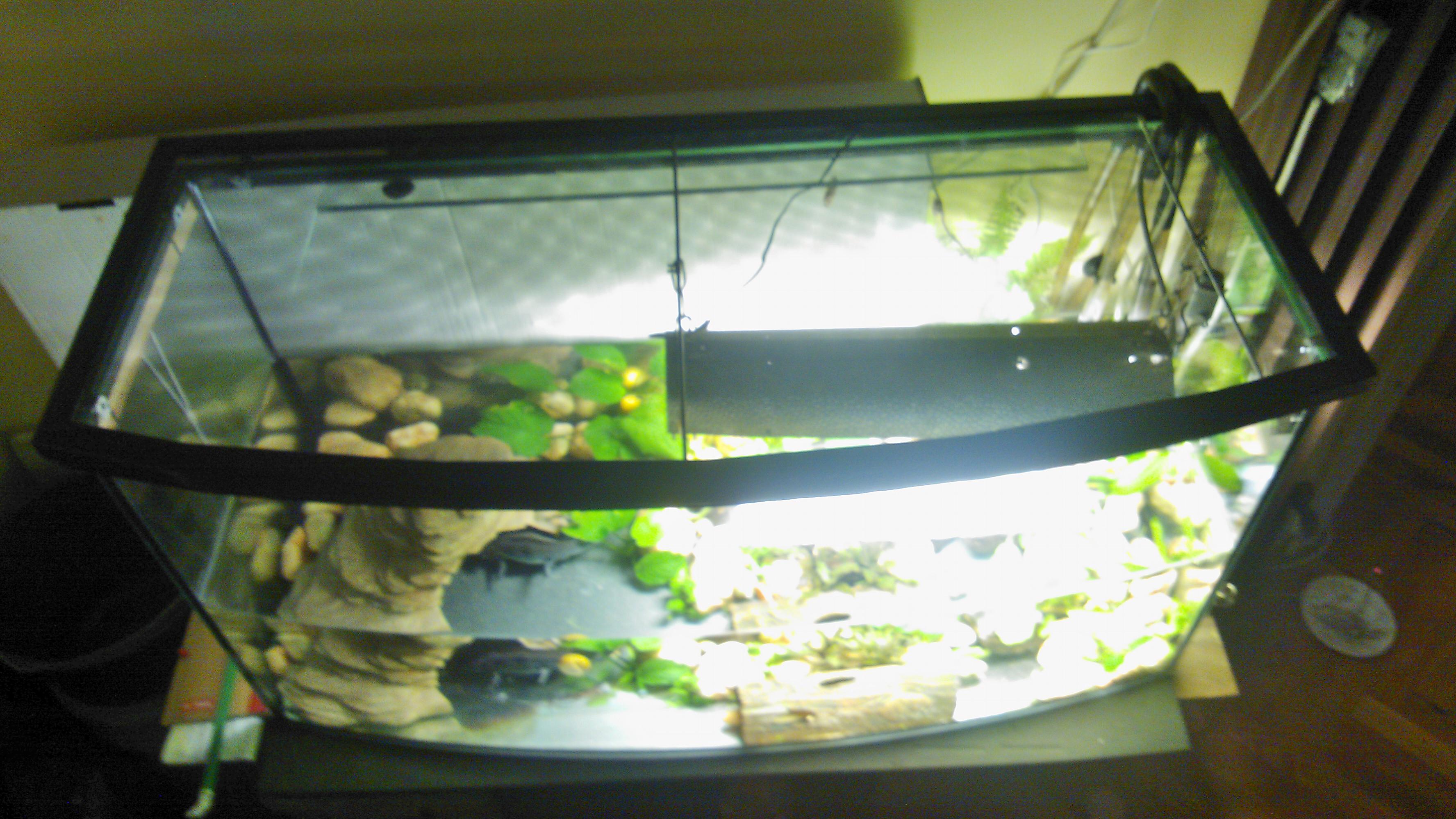 WP_003746.jpg