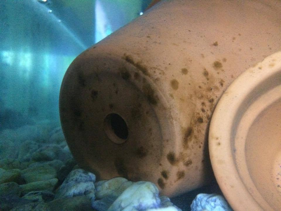 Nem adtál meg témacímet! A hibát javítottam de olvasd el a házirend erre vonatkozó részét. Maya