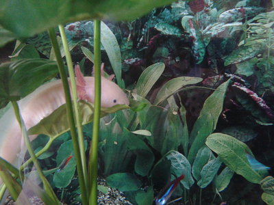 2012-07-09 13.05.32.jpg