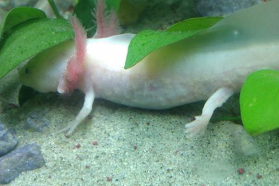 IMAG0036.jpg