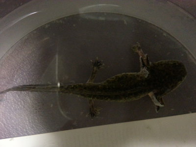 20121001_142032.jpg