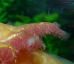 03.04-15.00-1.jpg (49.16 KiB) Megtekintve 45446 alkalommal 1. nap délután 15 órakor, először észlelve