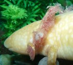 03.05-02.00-1.jpg (63.77 KiB) Megtekintve 44190 alkalommal 2.nap hajnali 2 óra