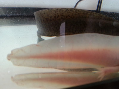 20120816_135951.jpg