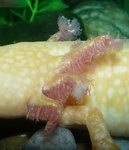 03.05-02.00-2.jpg (75.65 KiB) Megtekintve 45446 alkalommal 2.nap hajnali 2 óra